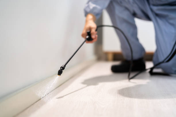 Licensed Termite Control service in Dalzell, SC - Nex Pest Control