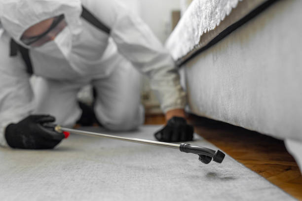 Professional Termite Control technician working in Dalzell, SC
