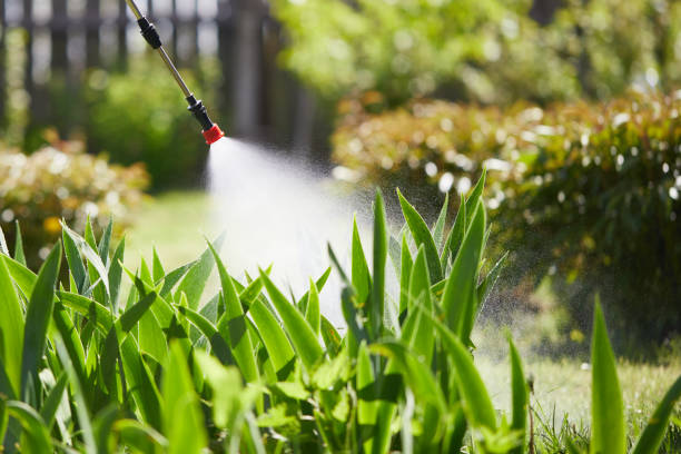 24/7 Emergency Termite Control experts in Dalzell, SC