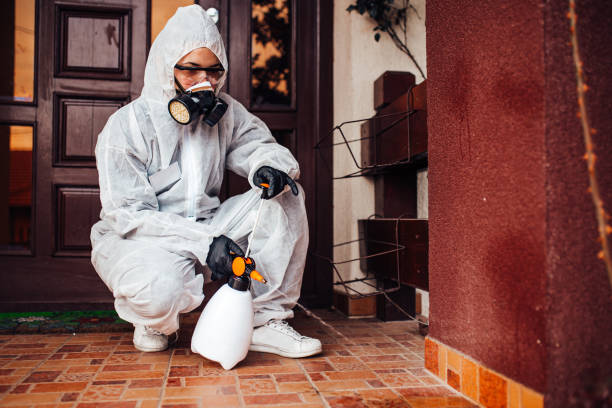 Reliable Termite Control contractor in Dalzell, SC by Nex Pest Control